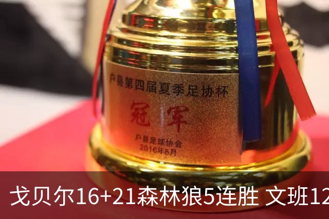 戈贝尔16+21森林狼5连胜 文班12+10马刺15连败